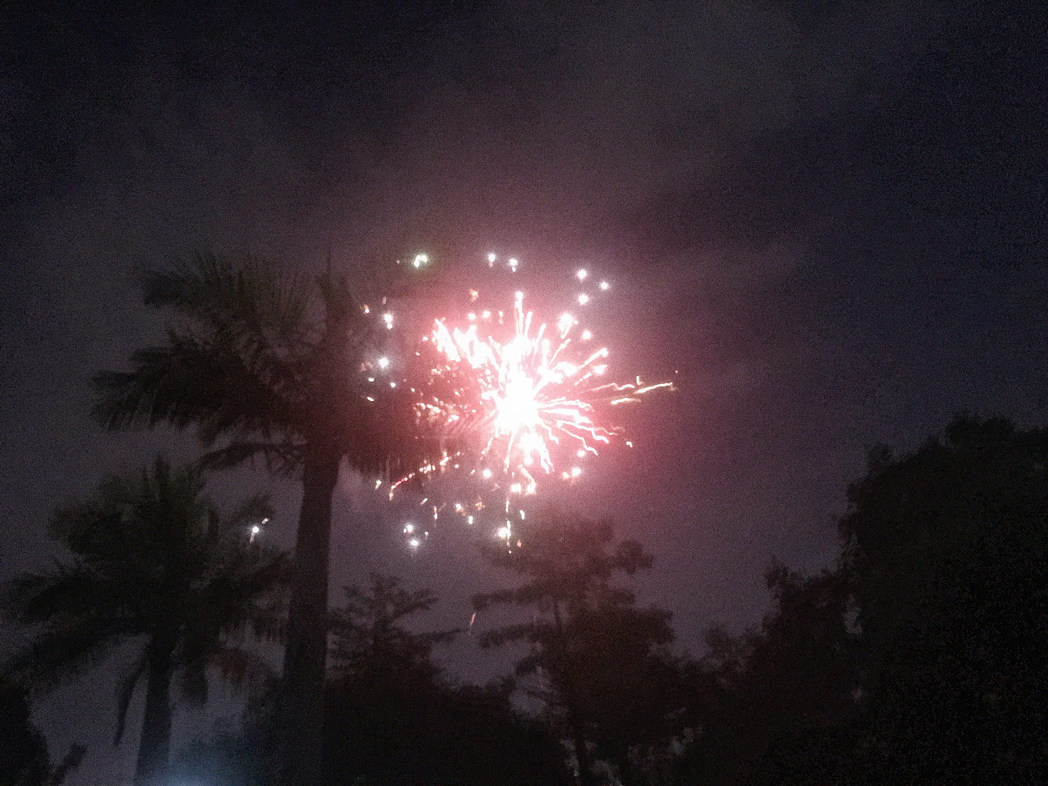 Featured image of post 年终总结