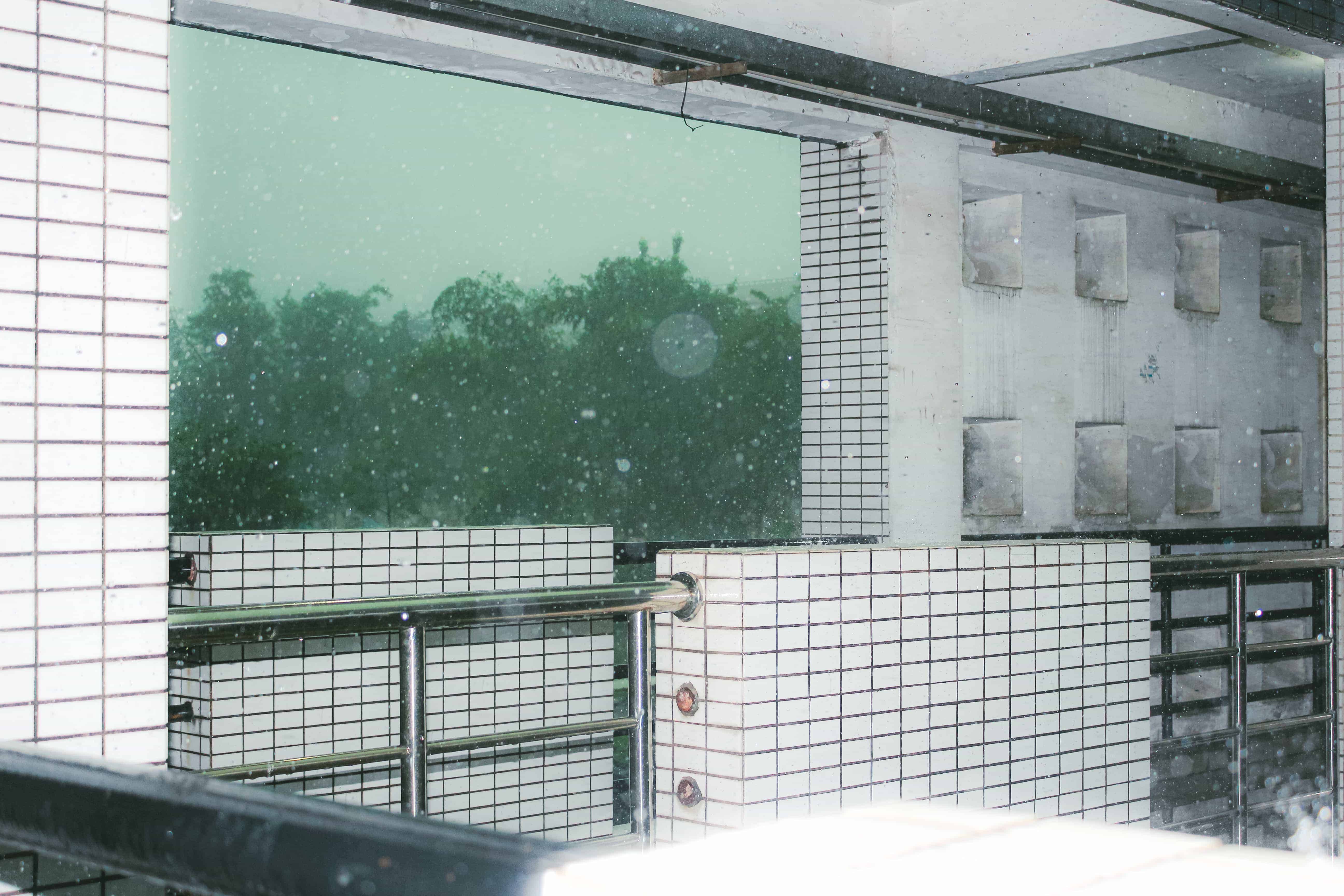 Featured image of post 五月|焦虑，接受，进步