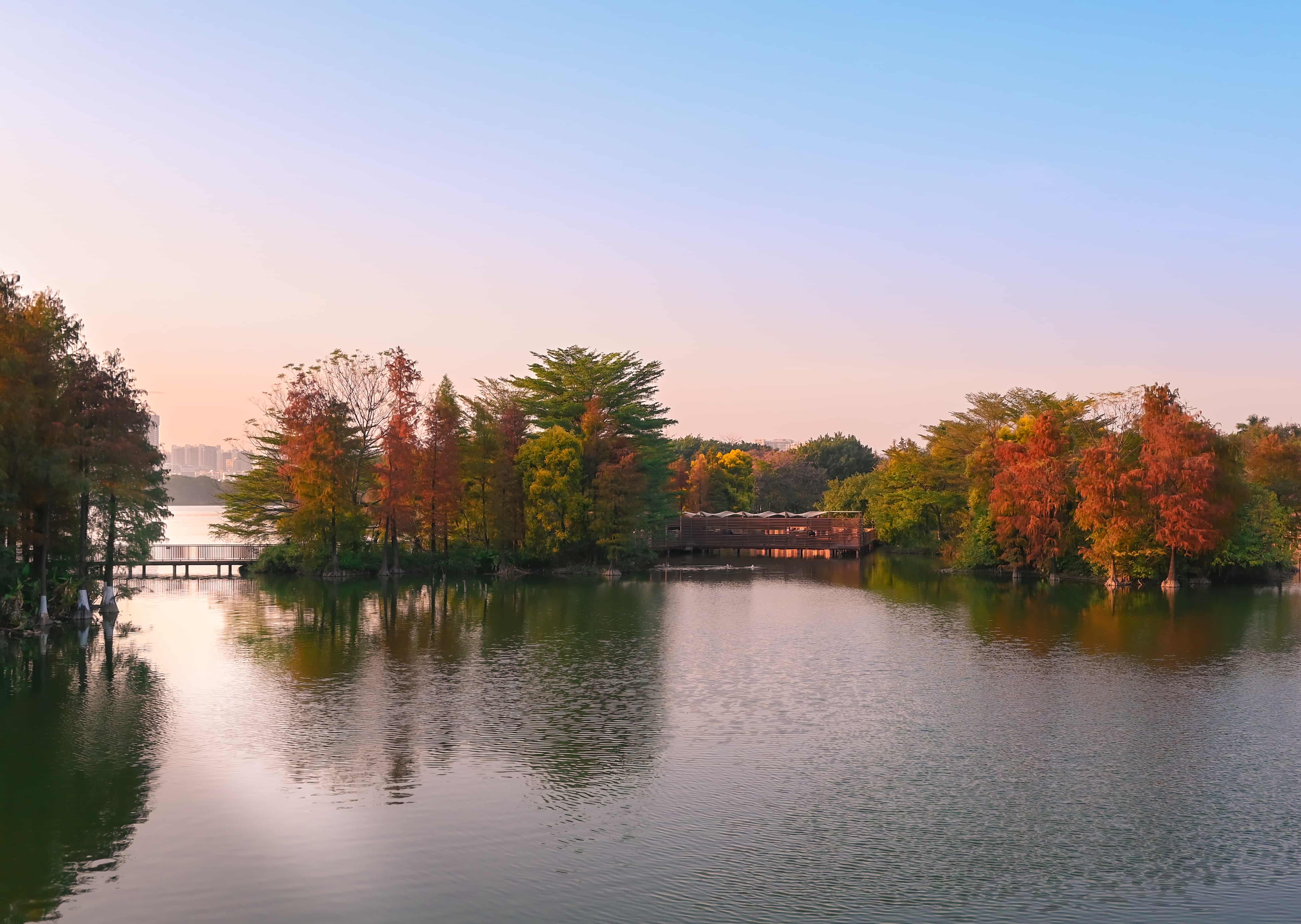 Featured image of post 2024年终总结