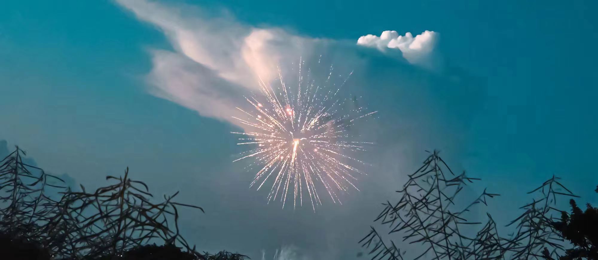 Featured image of post 时隔两个月的镜语录